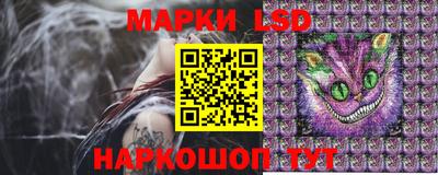 прущие грибы Будённовск