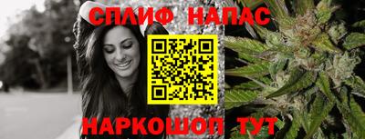 индика Бузулук