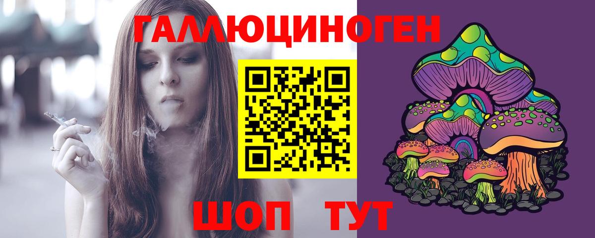 Псилоцибиновые грибы Psilocybe Строитель