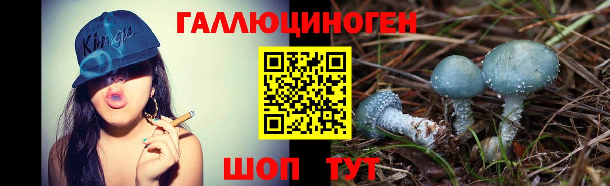 Строитель  Псилоцибиновые грибы Psilocybe  Псилоцибиновые грибы Psilocybine cubensis  Вход с VPN 